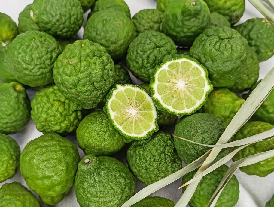 Limonka kaffir: wartość skórki i liści